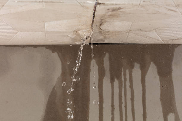 Professional Water Damage Repair technician working in Trenton, NC